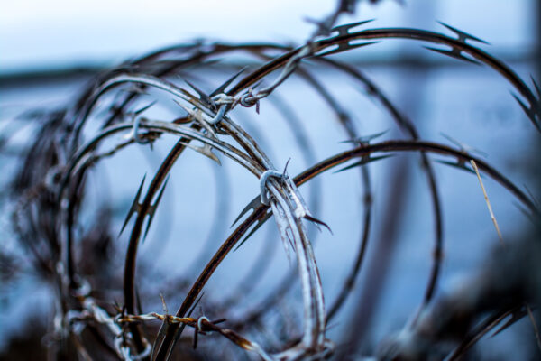 barbed-wire-2